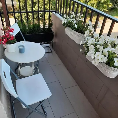 Maltina Homestay Malbork